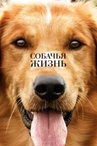 C010c9ojkchcbᴙ жuʒkvjb