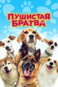 Ոyɯuсτojkᴙ 10c9pojkτ1010ojk