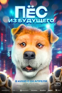 Ոojknojk сτojkvnl с010c9ojkk0il1