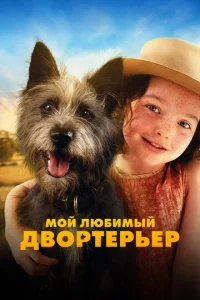 m1m0il1 vnlю10c9uʍӹil1 ldo10100pτepbep