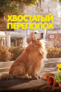 khc10100сτojkτӹil1 nepen0vnl0x